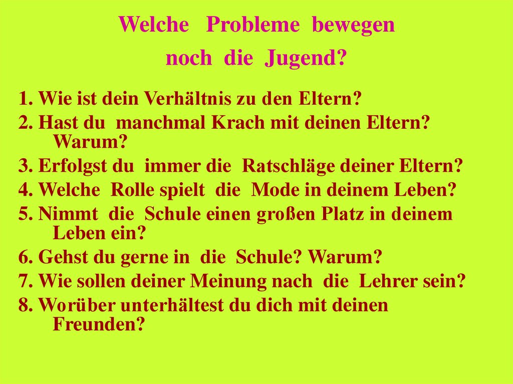 Welche   Probleme  bewegen noch  die  Jugend?