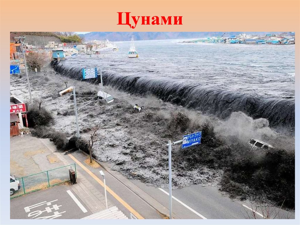 Цунами морские гравитационные волны большой длины