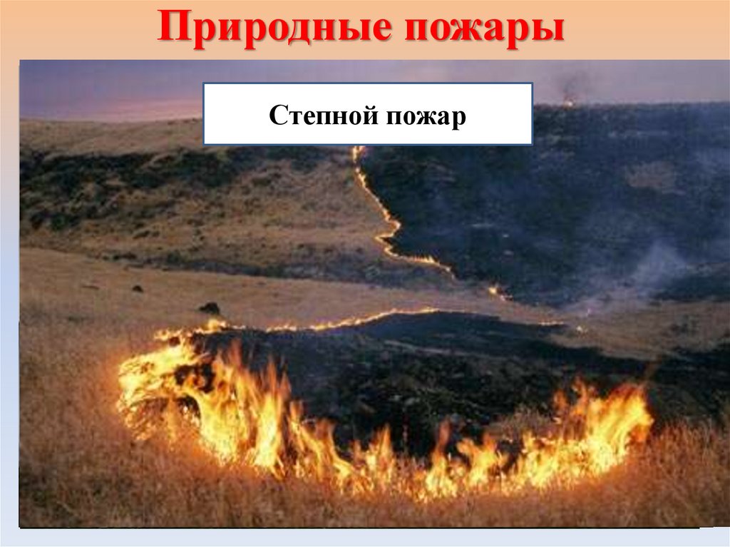 Природные пожары неконтролируемое горение растительности