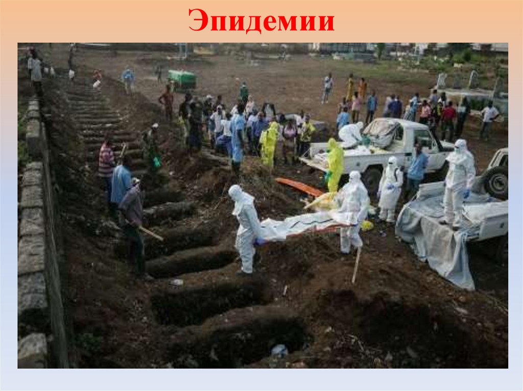 Эпидемии массовое распространение инфекционных болезней среди людей