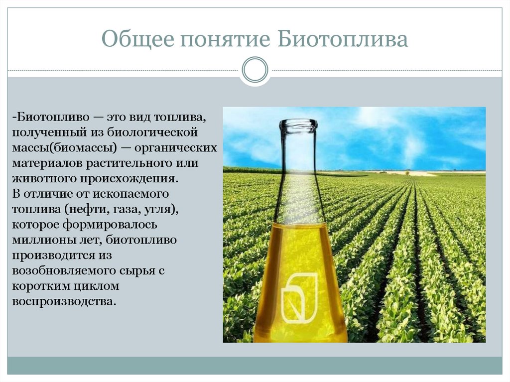 Общее понятие Биотоплива