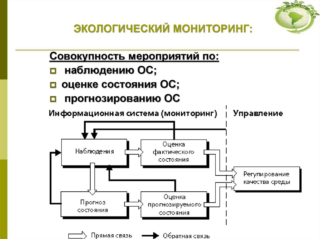 ЭКОЛОГИЧЕСКИЙ МОНИТОРИНГ: