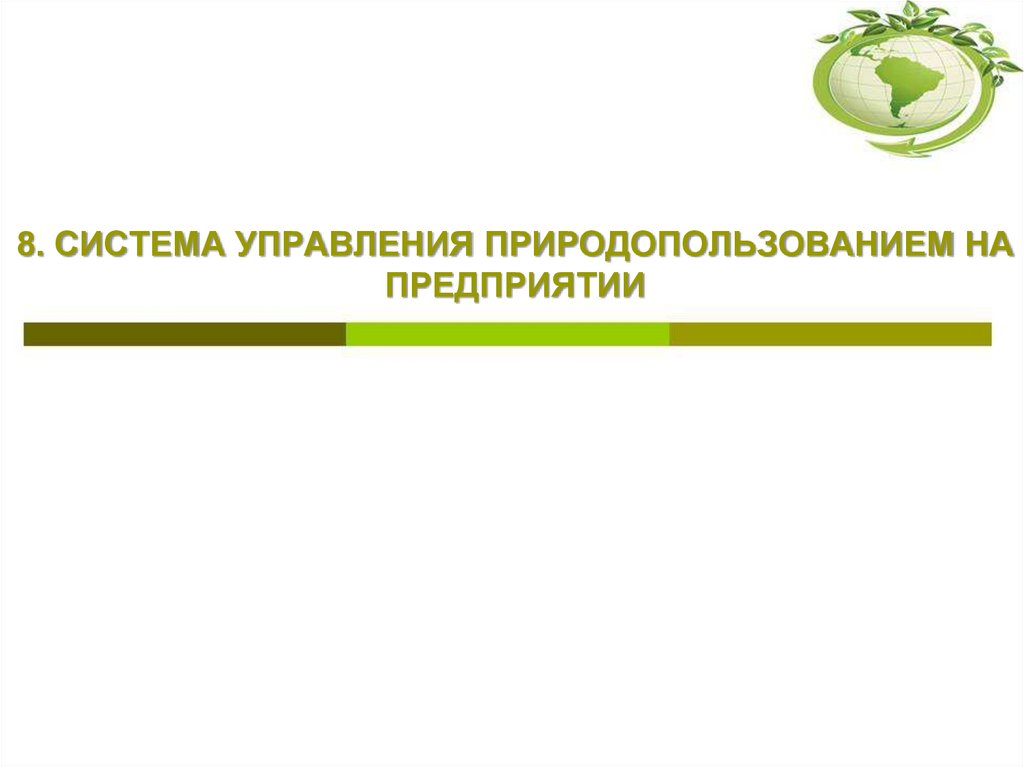 8. СИСТЕМА УПРАВЛЕНИЯ ПРИРОДОПОЛЬЗОВАНИЕМ НА ПРЕДПРИЯТИИ