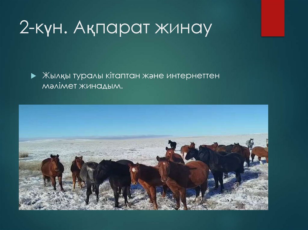 2-күн. Ақпарат жинау