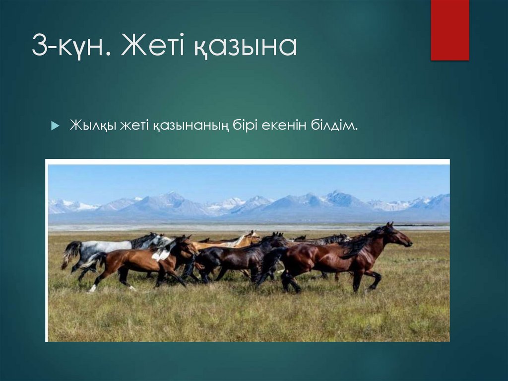 3-күн. Жеті қазына