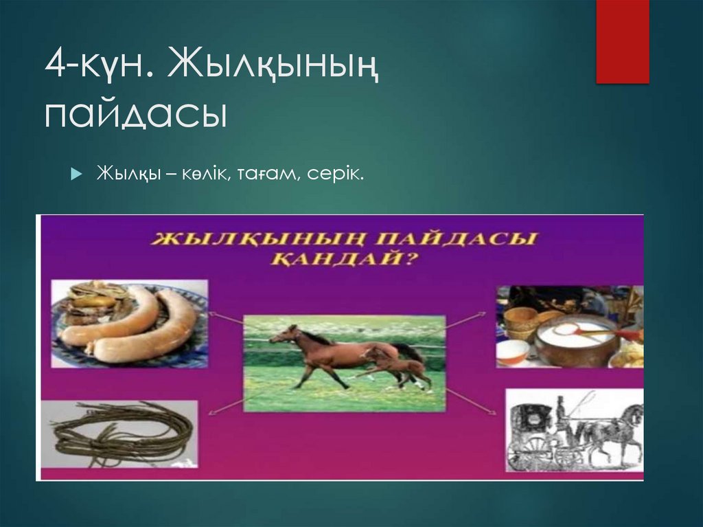 4-күн. Жылқының пайдасы