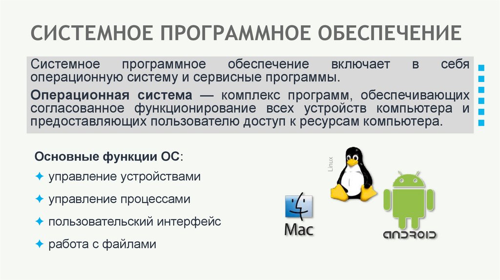 СИСТЕМНОЕ ПРОГРАММНОЕ ОБЕСПЕЧЕНИЕ