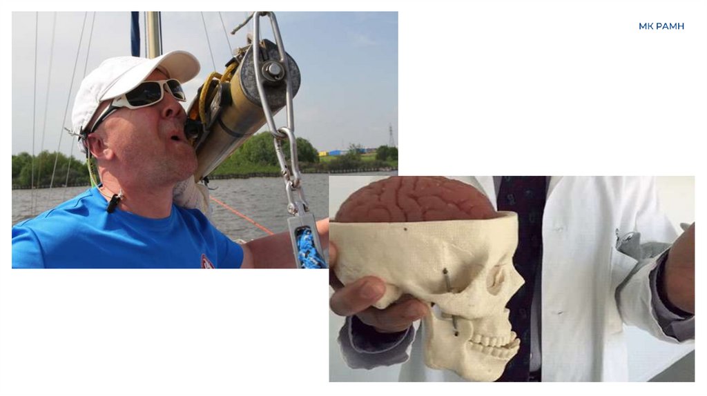 Определение