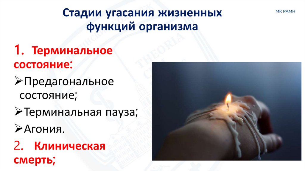 Стадии угасания жизненных функций организма