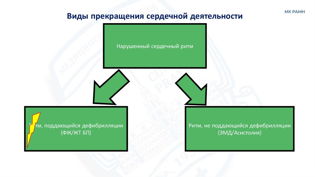 Виды прекращения сердечной деятельности