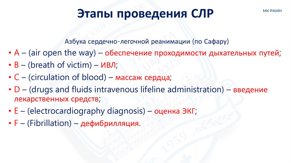 Этапы проведения СЛР