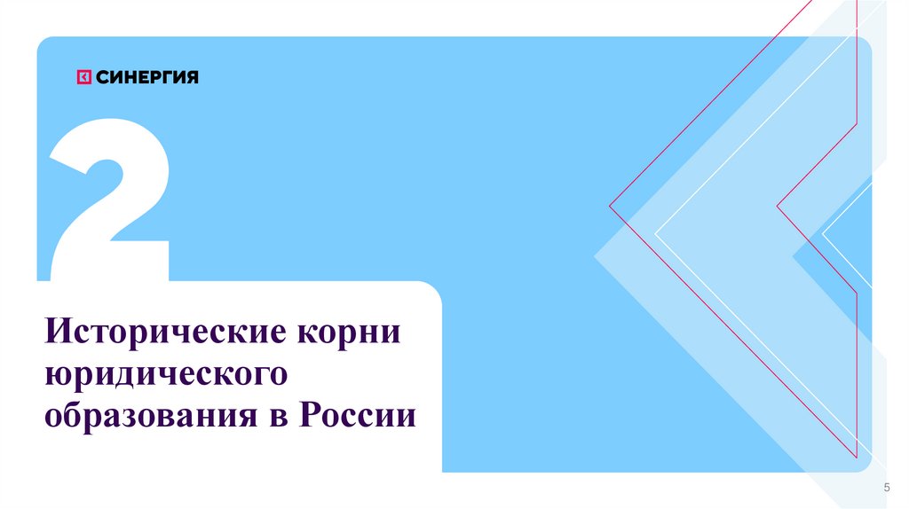 Исторические корни юридического образования в России