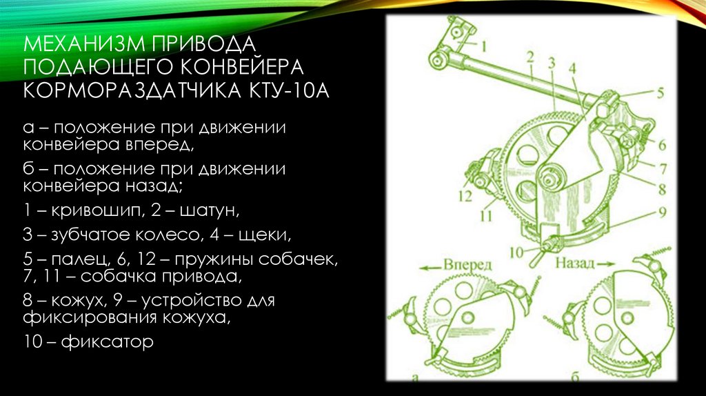 Механизм привода подающего конвейера кормораздатчика КТУ-10А