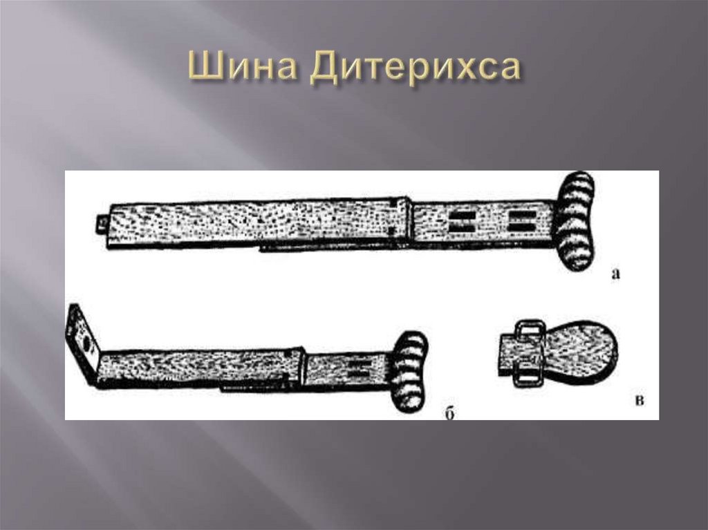 Шина Дитерихса