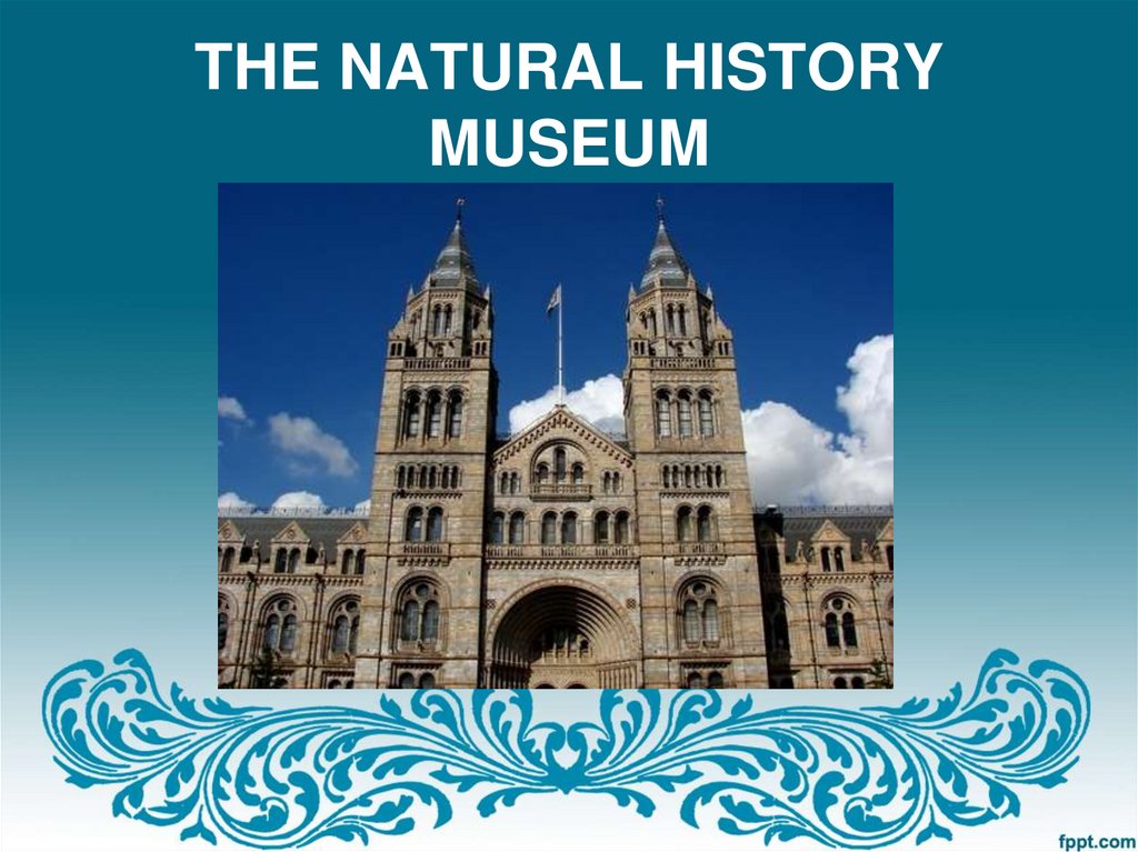 THE NATURAL HISTORY MUSEUM