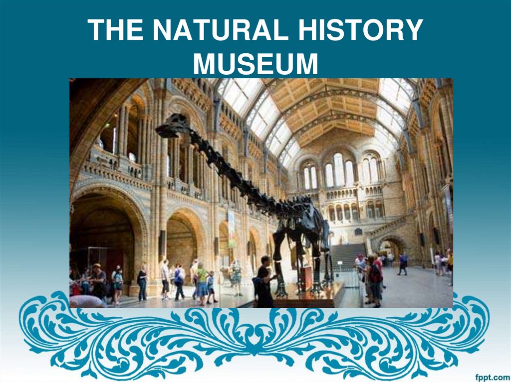 THE NATURAL HISTORY MUSEUM