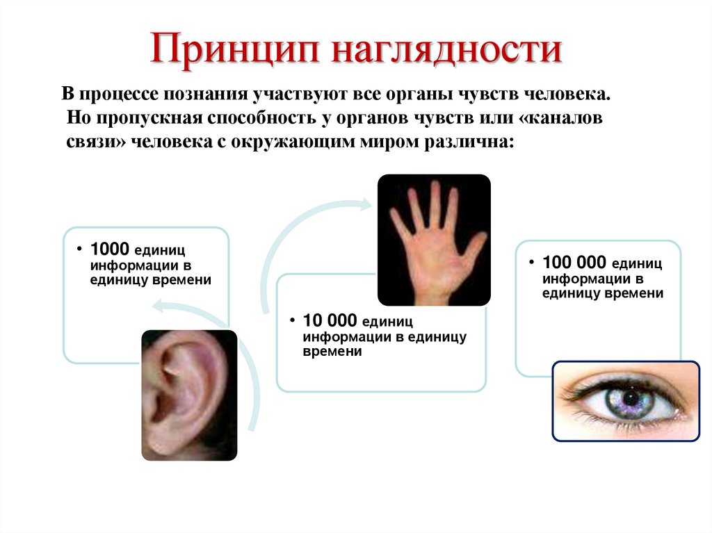 Принцип наглядности