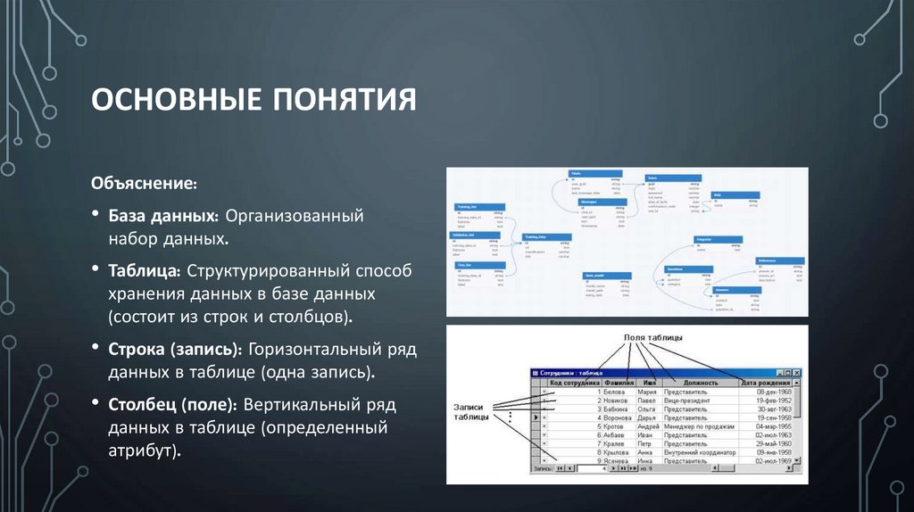 Основные понятия