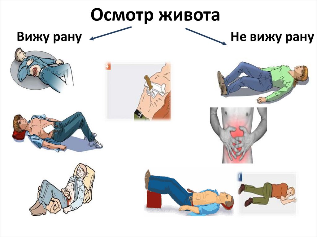 Осмотр живота