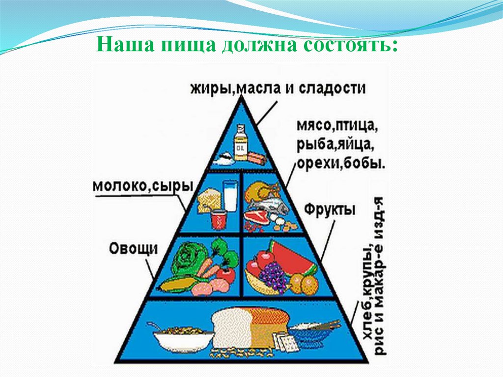 Наша пища должна состоять:
