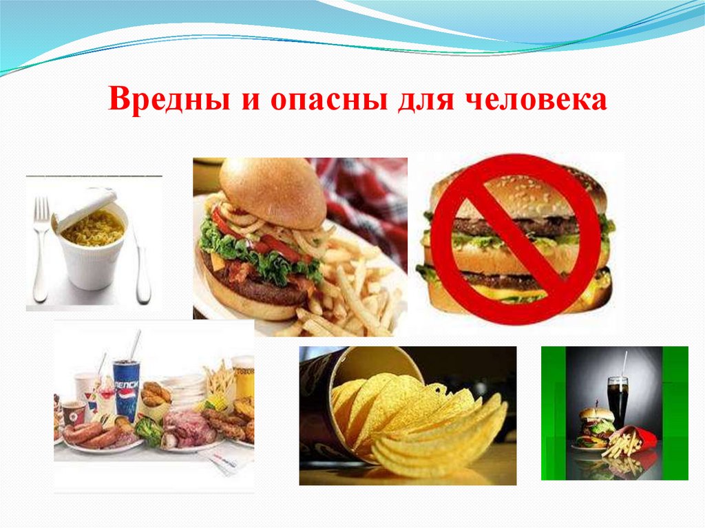 Вредны и опасны для человека