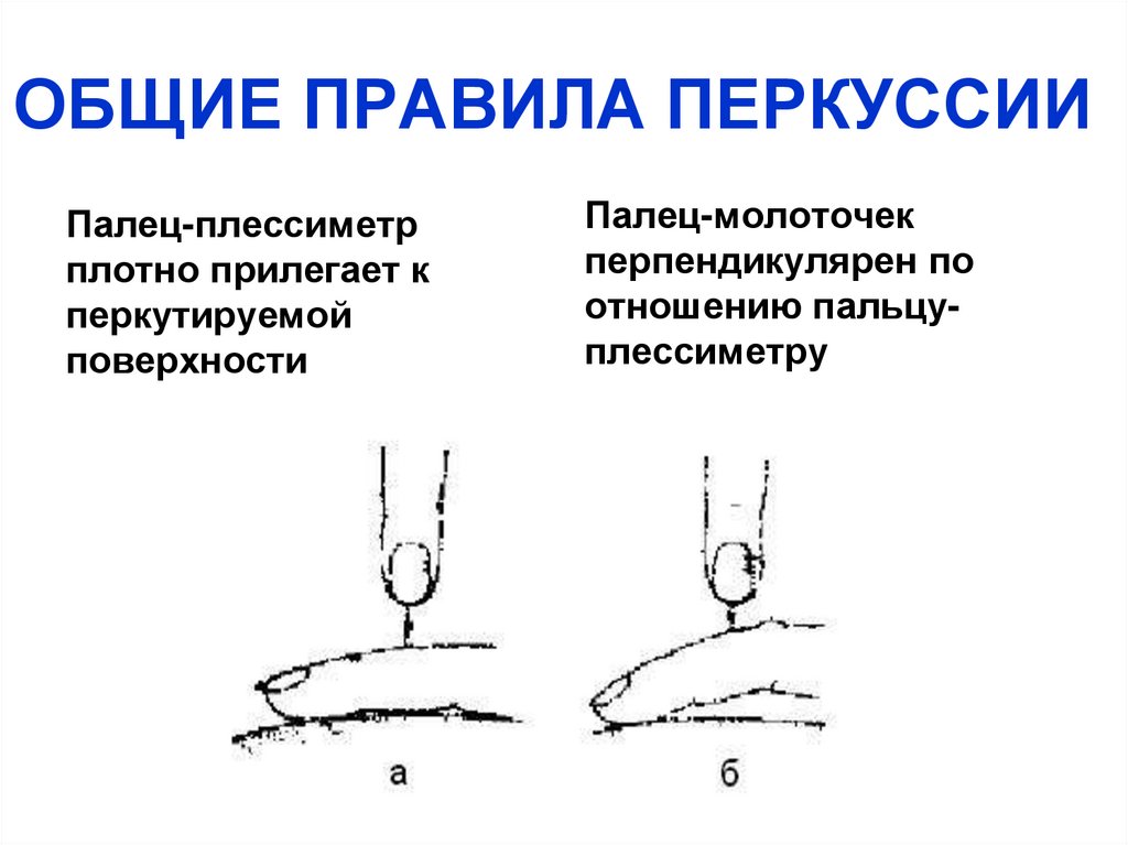 ОБЩИЕ ПРАВИЛА ПЕРКУССИИ