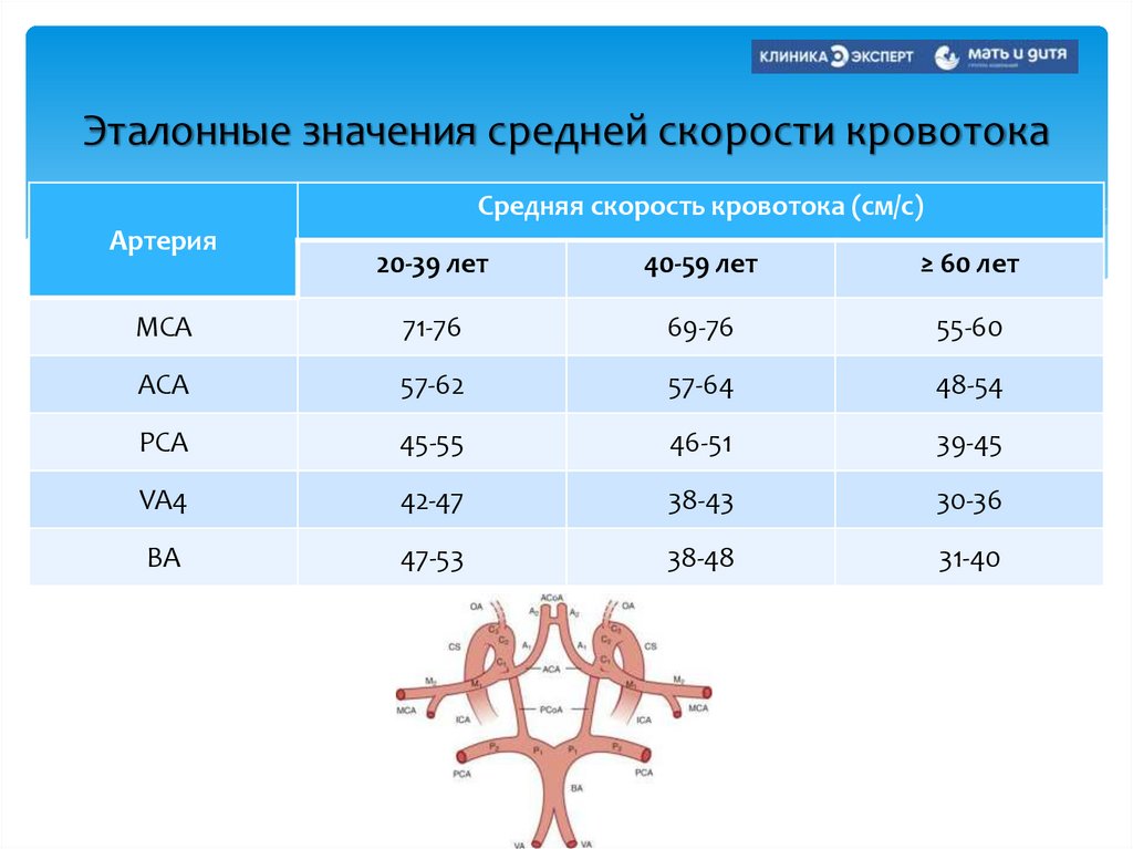 Эталонные значения средней скорости кровотока