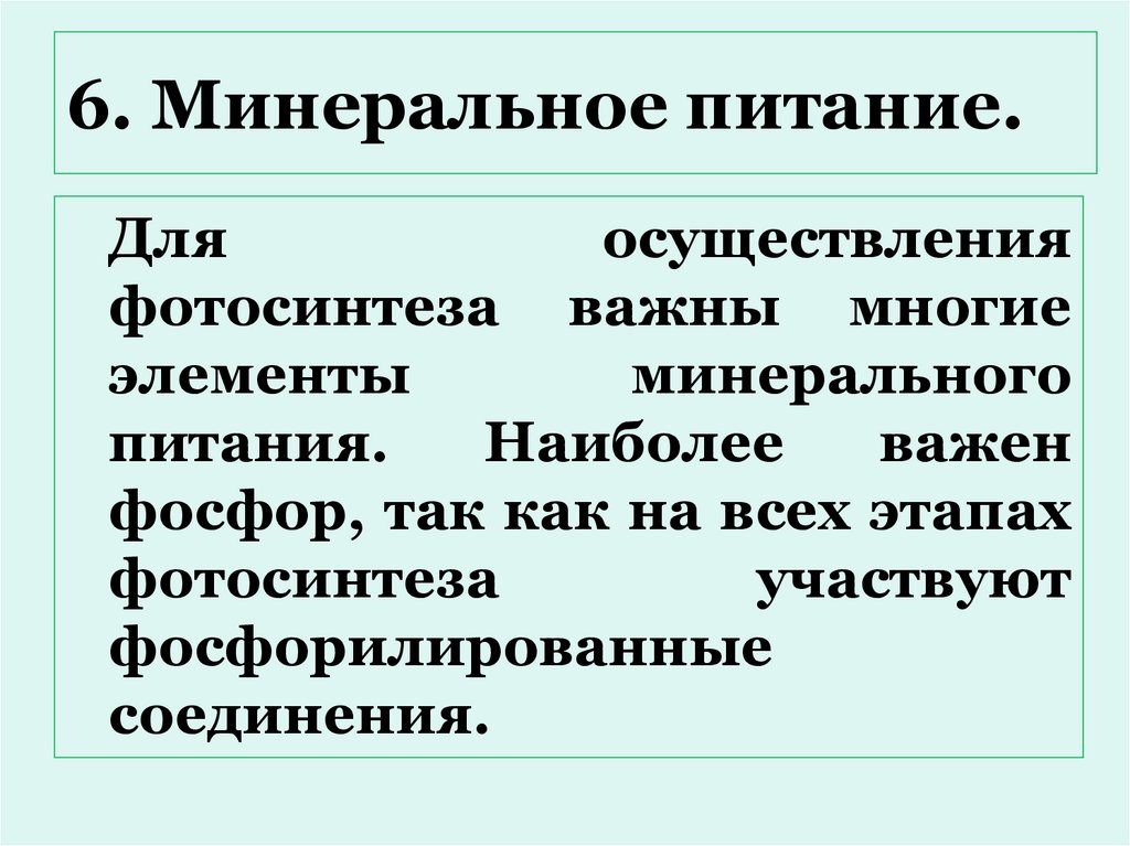 6. Минеральное питание.