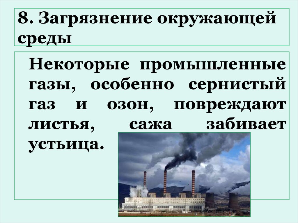 8. Загрязнение окружающей среды