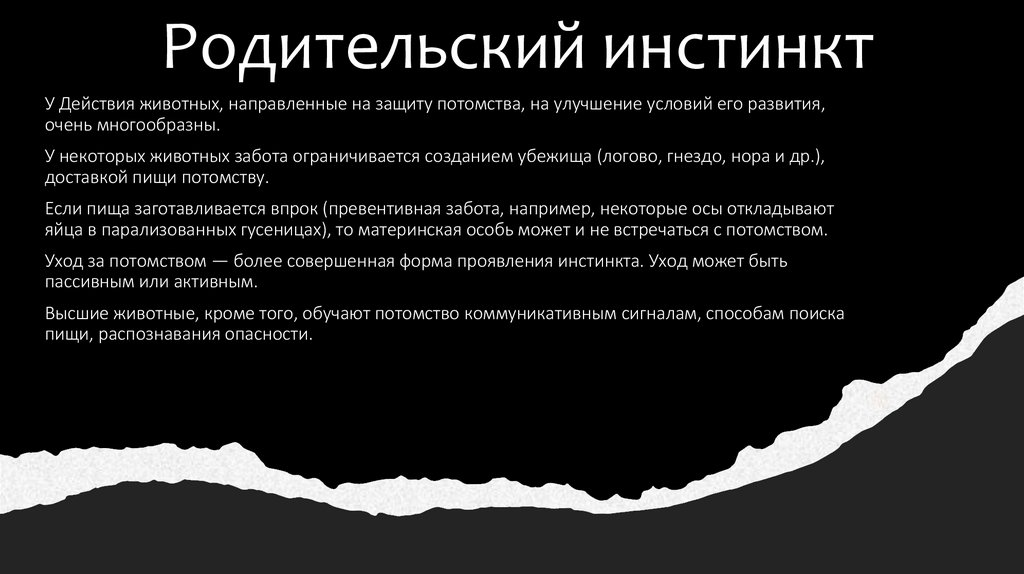 Родительский инстинкт