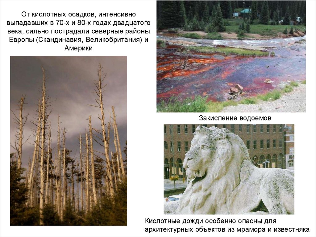 От кислотных осадков, интенсивно выпадавших в 70-х и 80-х годах двадцатого века, сильно пострадали северные районы Европы