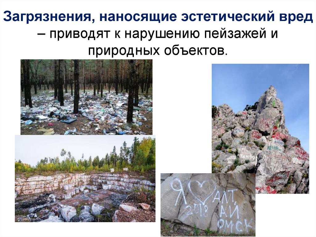 Загрязнения, наносящие эстетический вред – приводят к нарушению пейзажей и природных объектов.