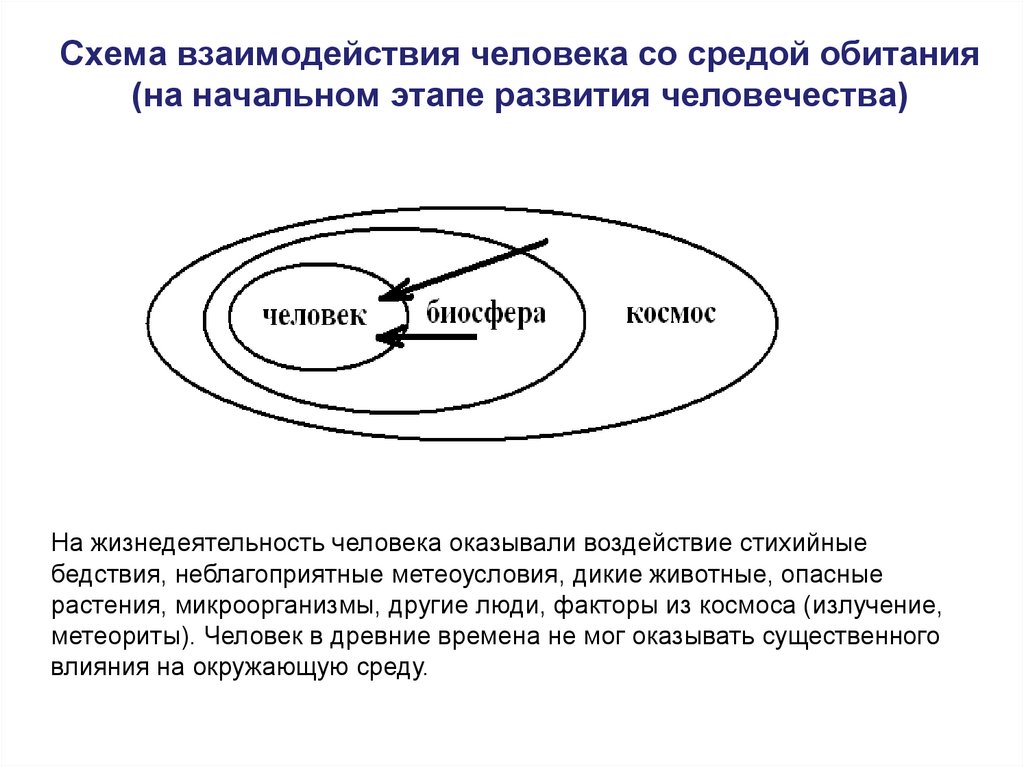 Схема взаимодействия человека со средой обитания (на начальном этапе развития человечества)