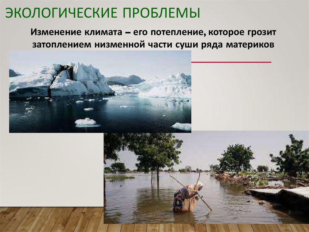 Экологические проблемы