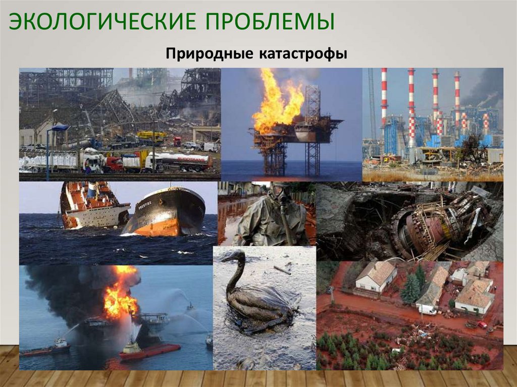 Экологические проблемы