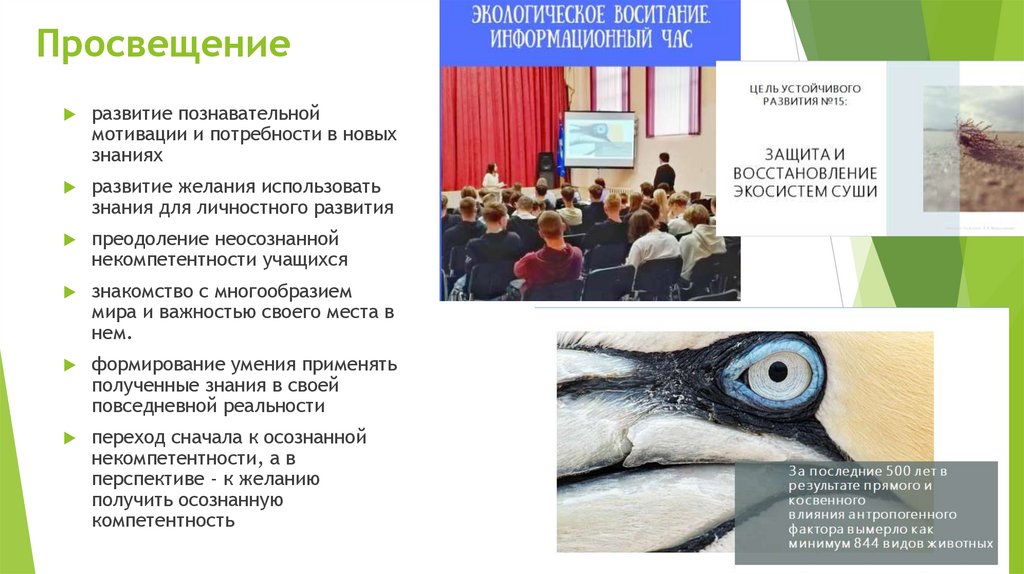 Просвещение