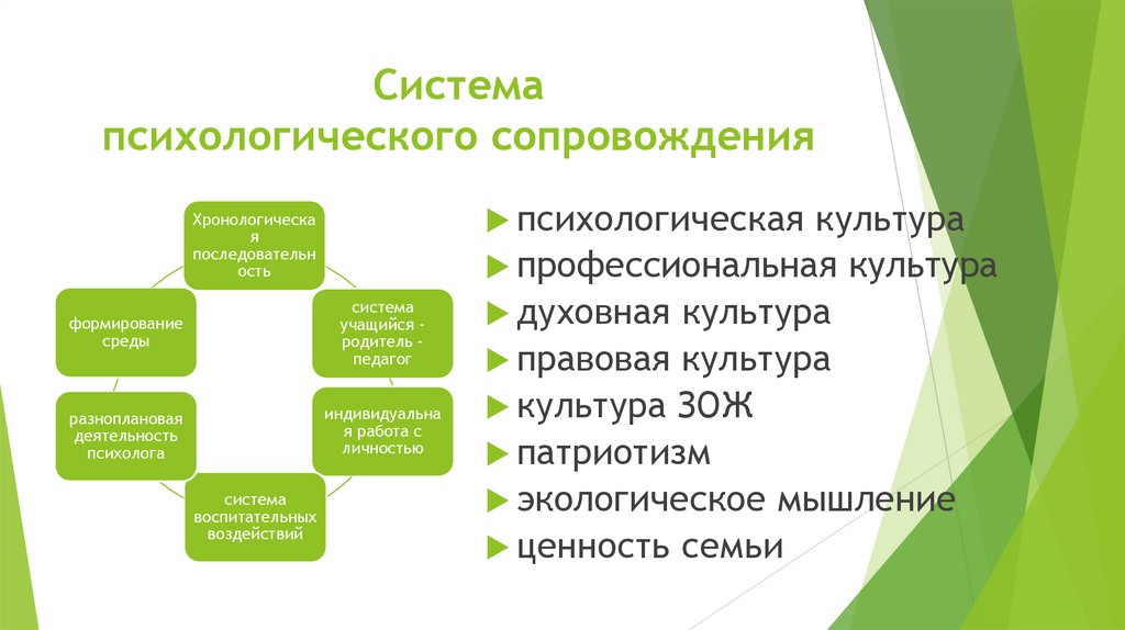 Система психологического сопровождения