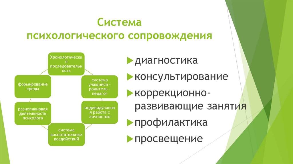 Система психологического сопровождения