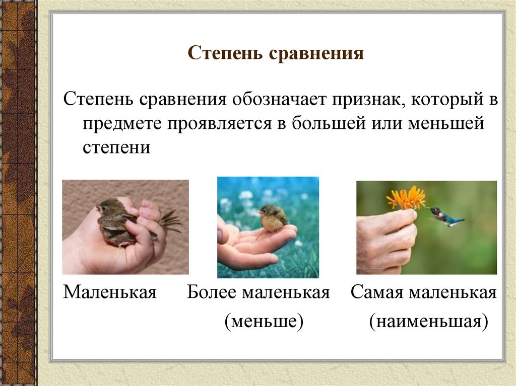 Степень сравнения