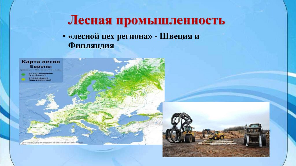 Лесная промышленность