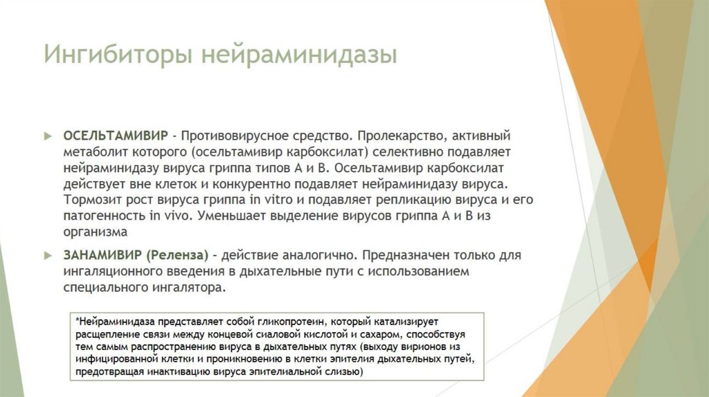 Ингибиторы нейраминидазы