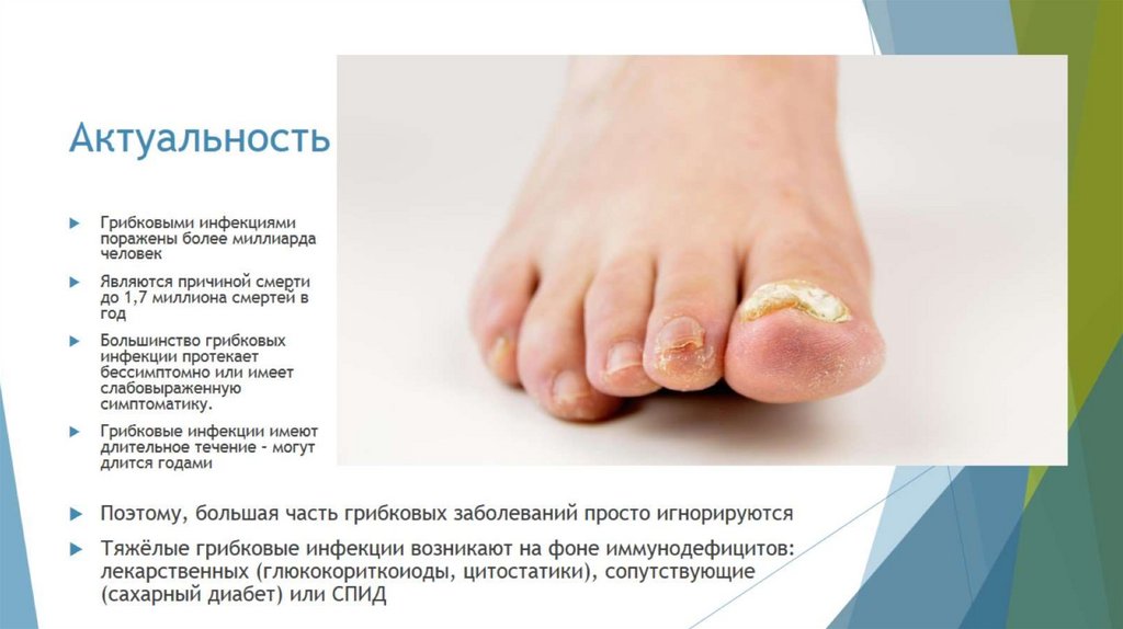 Актуальность