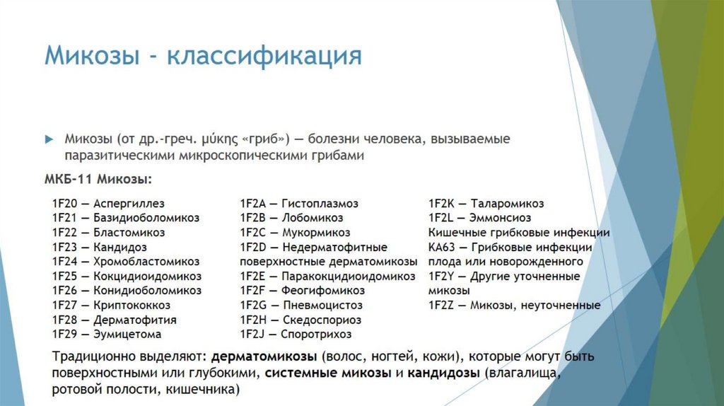 Микозы - классификация