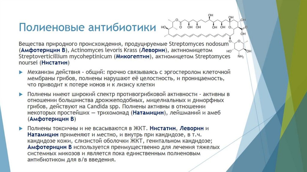 Полиеновые антибиотики