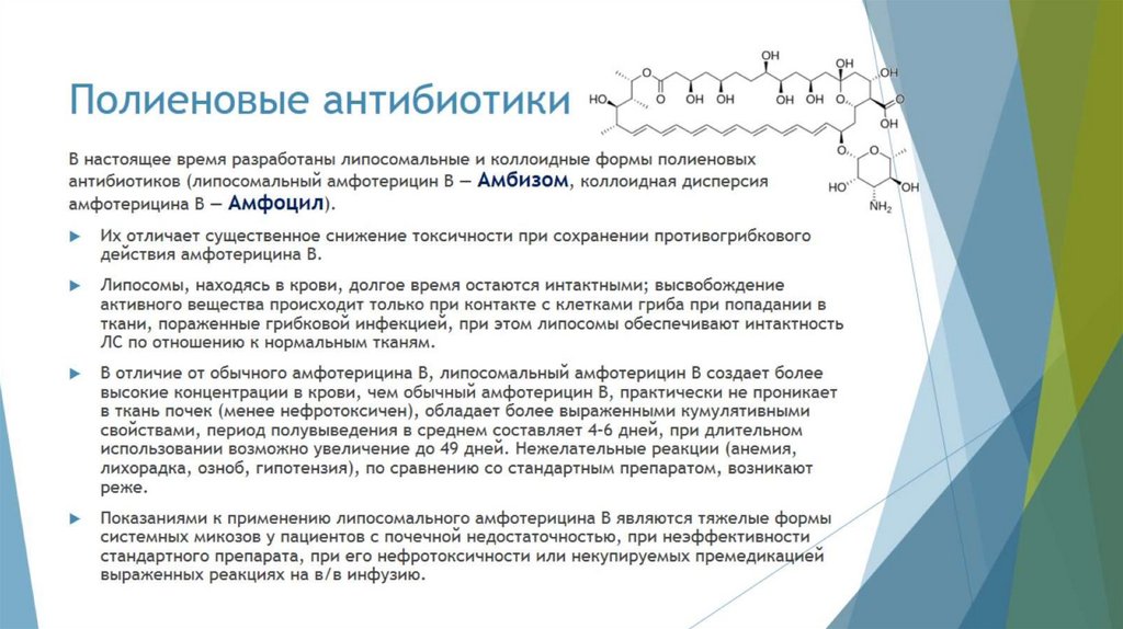 Полиеновые антибиотики