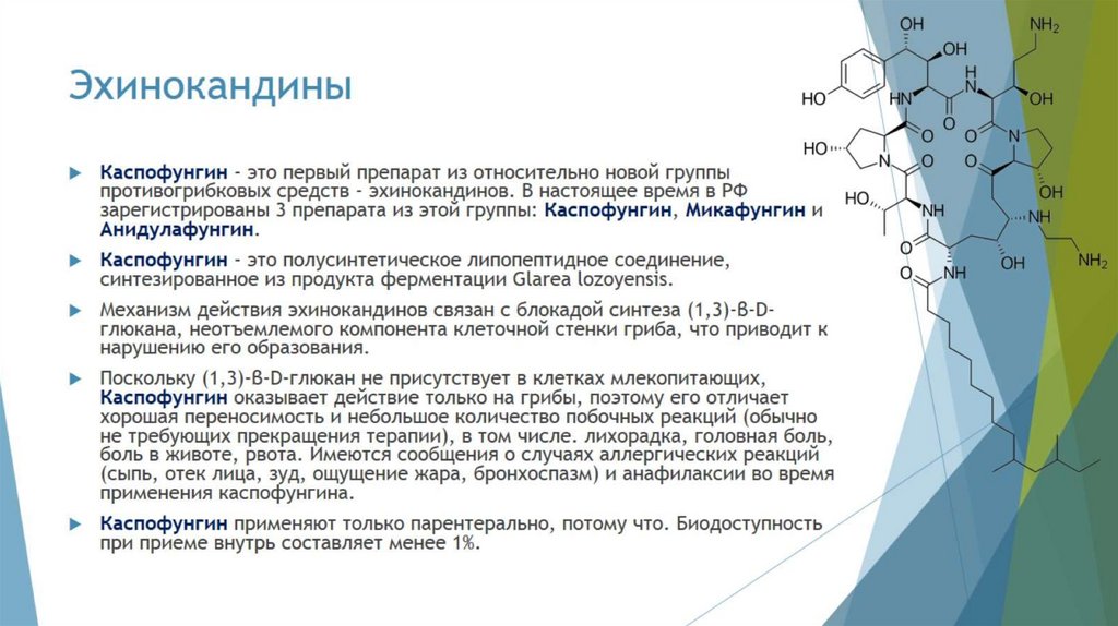 Эхинокандины