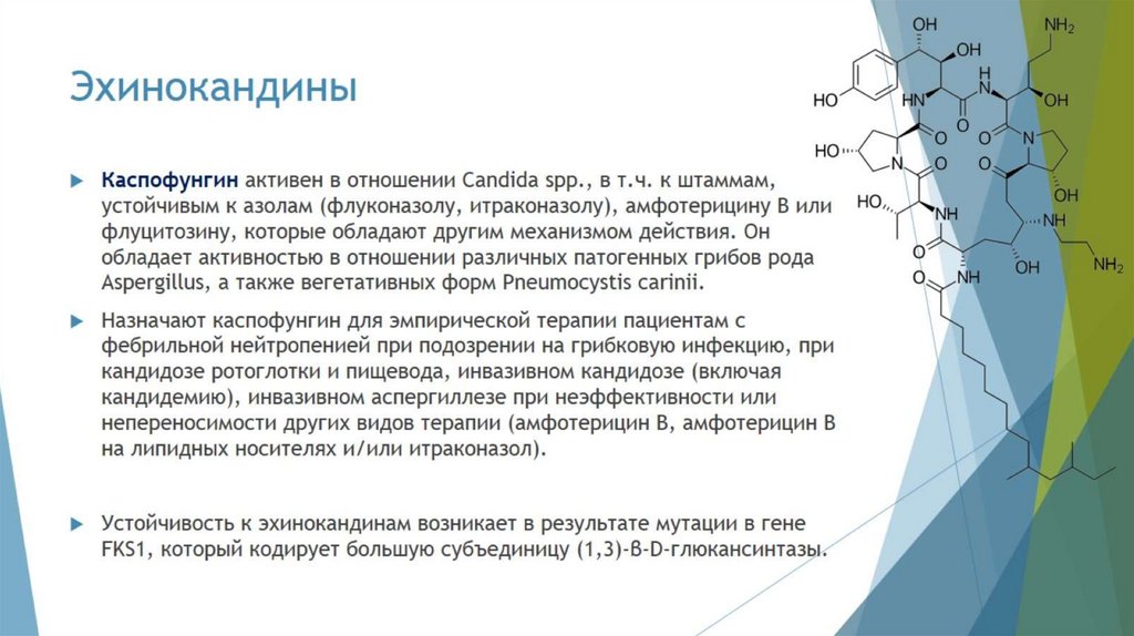 Эхинокандины