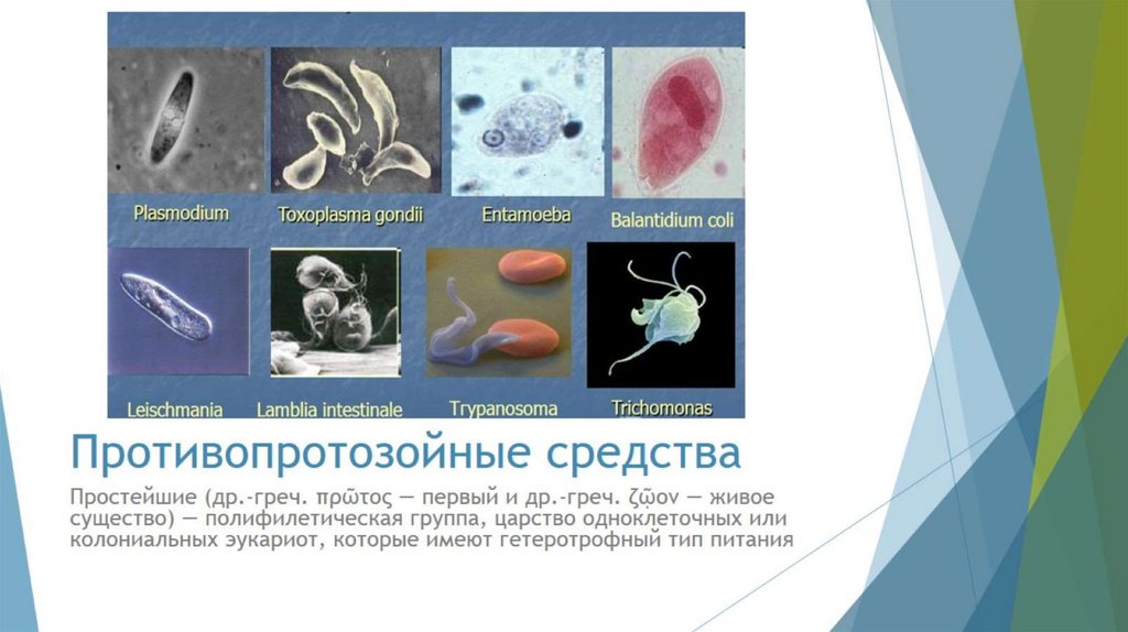 Противопротозойные средства