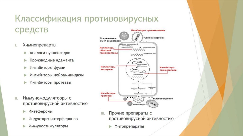 Классификация противовирусных средств
