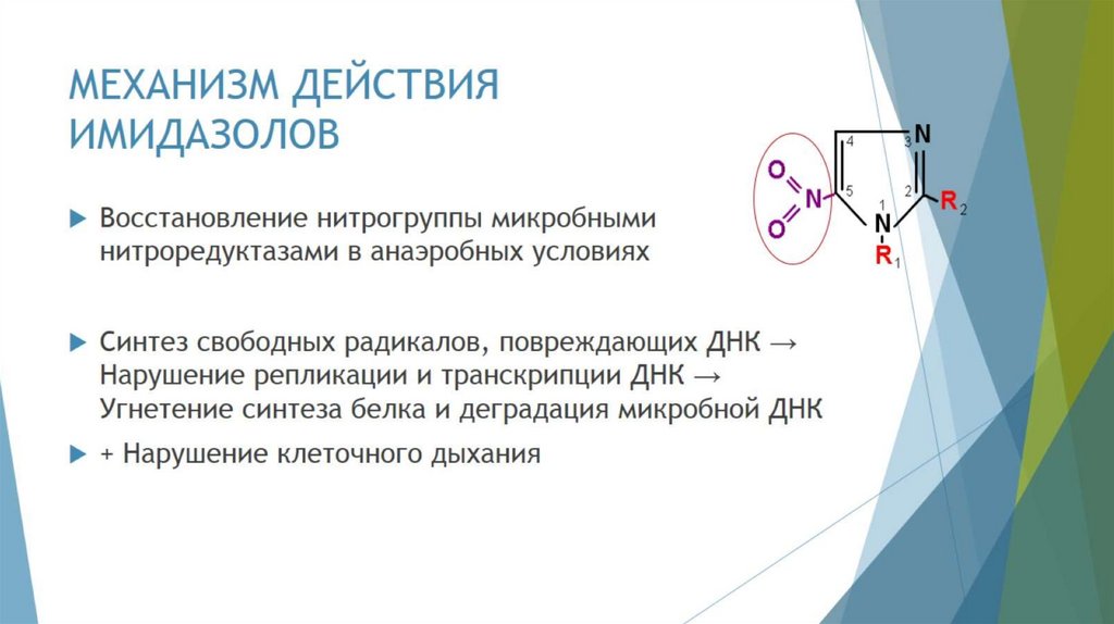 МЕХАНИЗМ ДЕЙСТВИЯ ИМИДАЗОЛОВ